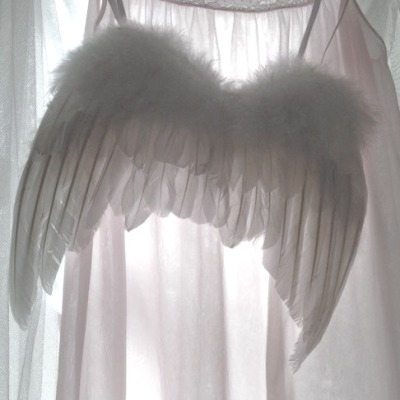 angel wings 🤍 #coquette#dollette#dollcore#fawncore#angelcore#hyper feminine#female manipulator#girlblogger