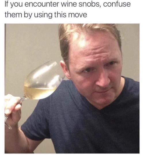 zombiebiologist:shittylifeprotips:SLPT: Confuse those wine snobs by *hearing* the wineso i told my m