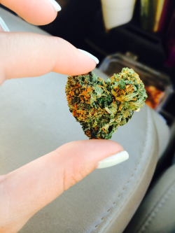 missttyyy:  Little heart nug 