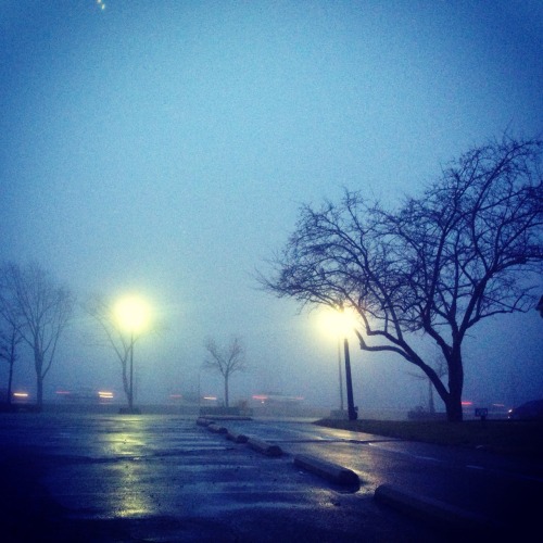 her-youngheart:blueandgray:Loved the fog on my way to work today.so beautiful, i miss my city
