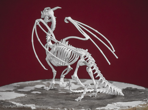 mythicarticulations:  Dragon skeleton. It’s porn pictures