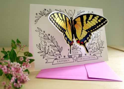 theemilydahl:My butterfly greeting cards are FINALLY done and in my Etsy shop! These guys were so fu