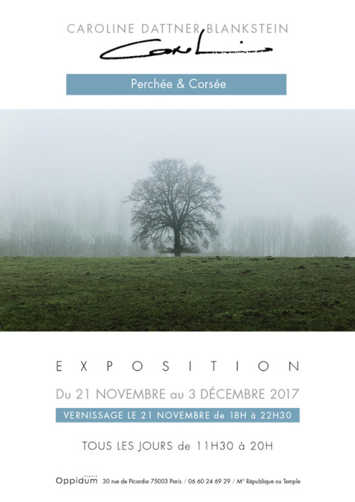 SAVE THE DATE! 21 Novembre - 03 Décembre 2017  Exposition &ldquo;Perchée &amp; Corsée&quot; - Ode au