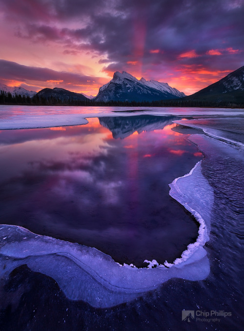 brutalgeneration:  Rundle Sunrise vertical (by Chip Phillips) 