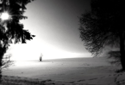 burnedshoesphotography: © Burnéd Shoés, Feb. 2017, al(l)one I’m back. In black. And white. Like Snow