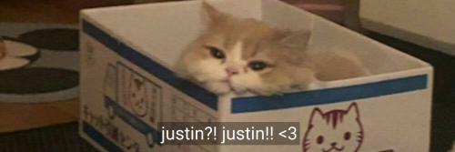 Justin Bieber + Tom Holland Layouts