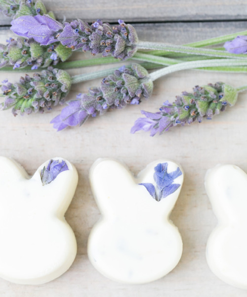 sweetoothgirl:White Chocolate Lavender Bunnies @lavenderwrath