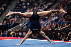 Male Gymnasts