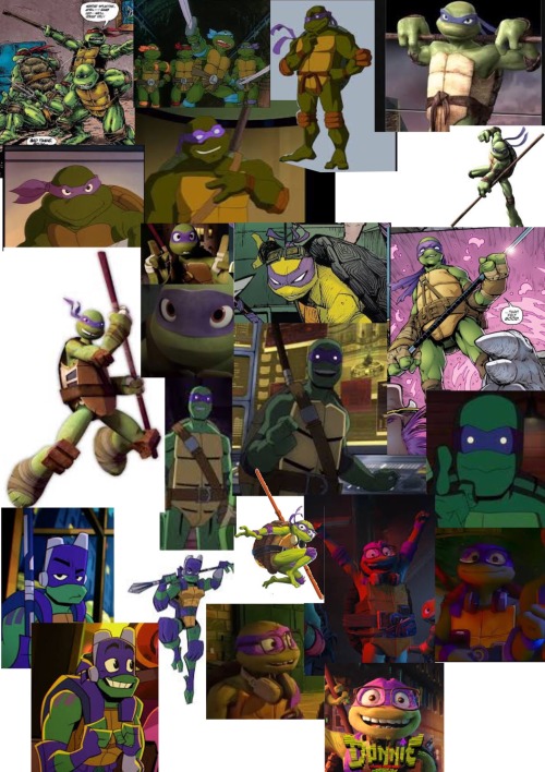 I Made A Compilation Of References For The Main Tmnt Characters From Every Iteration And I Thought It