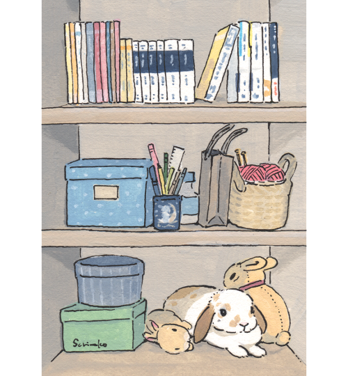 schinako:The rabbit owner’s shelf