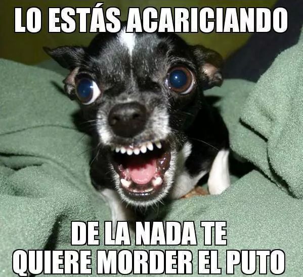 MENTE ENFERMA xD