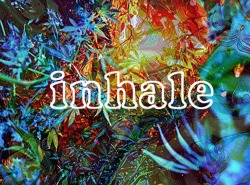 dopeyourlife:  exhale