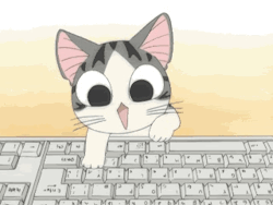 kittensplaypenshop:  Chi’s Sweet Home &lt;3