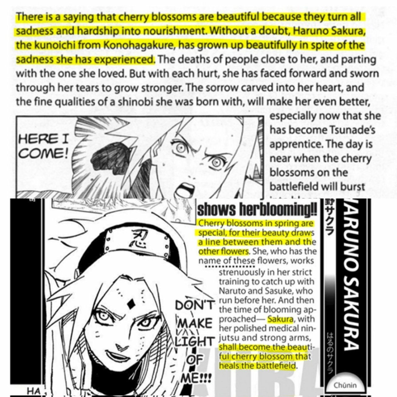 Sasusaku - The Boruto: Naruto the Movie novel strongly