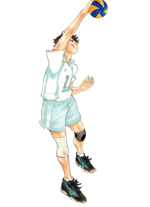 pigeonboyfriend:  Haikyuu!! → Extras 