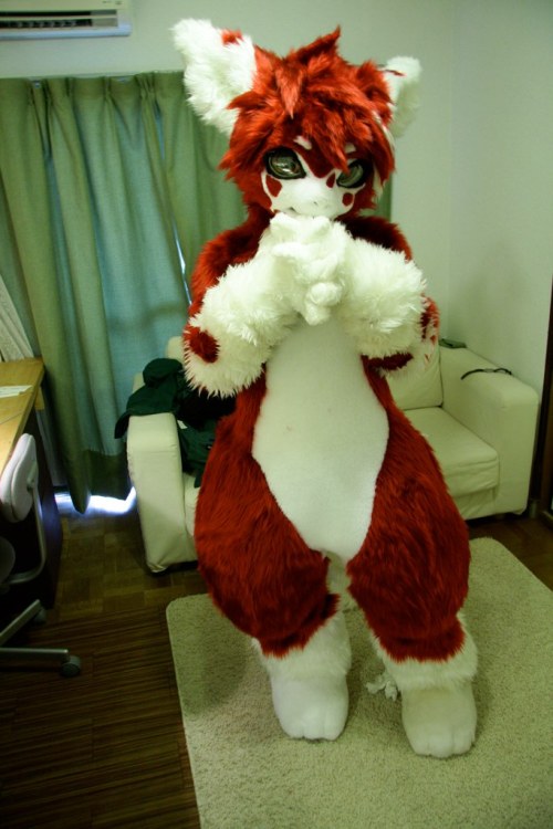 datdonk:  coyoteaverage:  Japanese fursuits are best fursuits :3  I want to hug and kiss them forever~  I love them <3