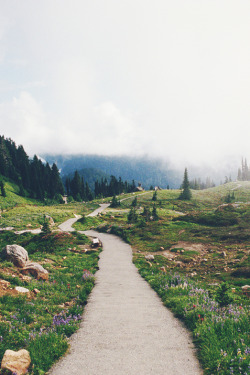 mstrkrftz:  Summer in the Mountains by Danielle