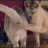 occasionalvirgin: