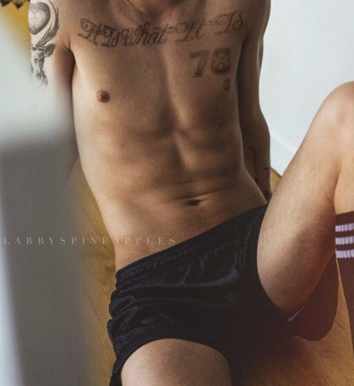 larryspineapple-nsfw:  photo taken by harry styles 