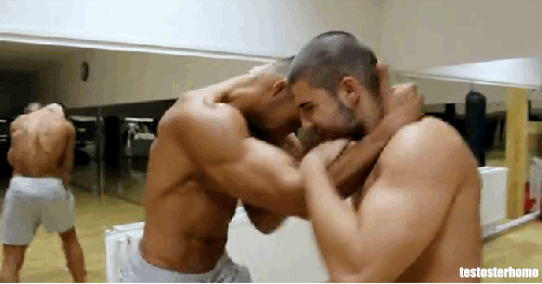 MUSCLE CORPS