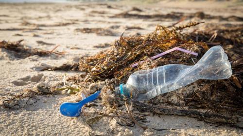 Plastic straws, polystyrene containers banned in Queensland under sweeping new rules