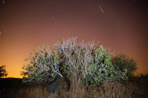 bobbycaputo:    Spectacular Photos Of The Perseid Meteor Shower 2016 Around The World 