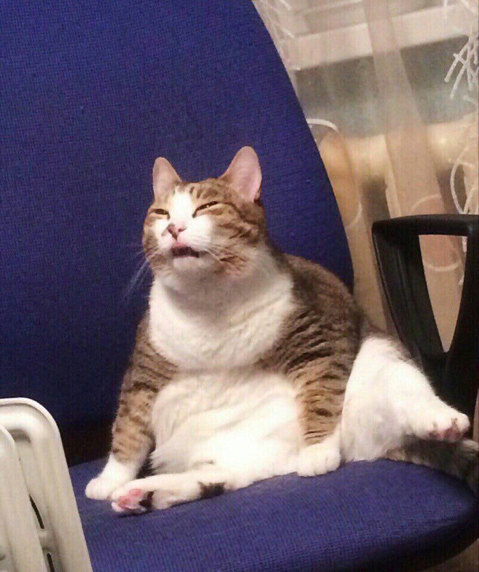 fumbledeegrumble:  me rn