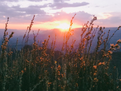 leaberphotos:  Sunset at the South Rim Grand