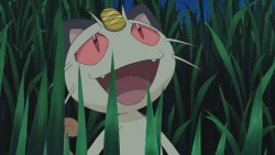 Meowth is high as fuck