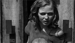 empressmcbride:  TWD Meme: 4 Quotes↳ [ 2/4 ]“We survive this by pulling together, not apart.”