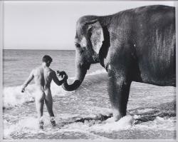 bibliothekderbilder:  bruce weber  At a nude beach leading an elephant by the trunk to the sea. What could be better than this!