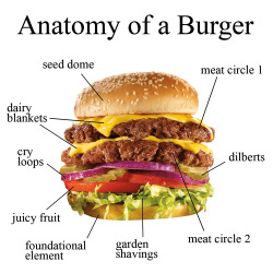 dennys:  anatomy of a hamburger