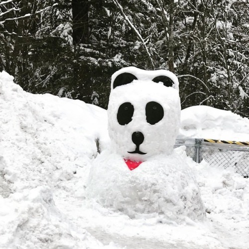 Un bonhomme de neige à la japonaise. A Snowman made by Japanese&hellip; #japan #japanese 