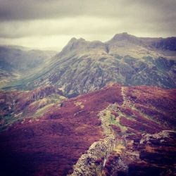visuallyillusive:  The Langdale Pikes from Lingmore Fell on a grey Sunday afternoon. Couldn’t think of a better place to be 😀 by moonsurf http://ift.tt/1MzXevM