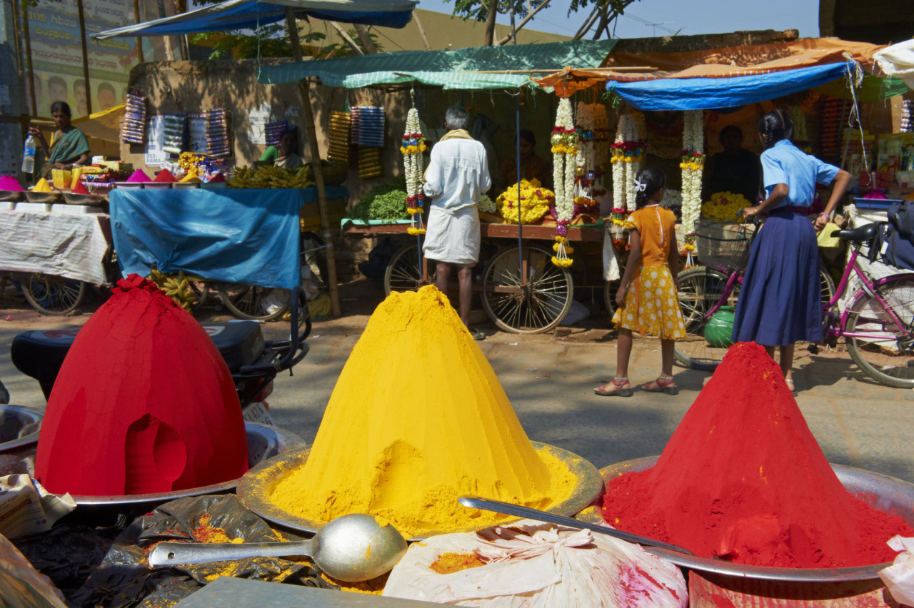 stories-yet-to-be-written:  Pictures of Holi: Festival of Colors. By Sharell Cook