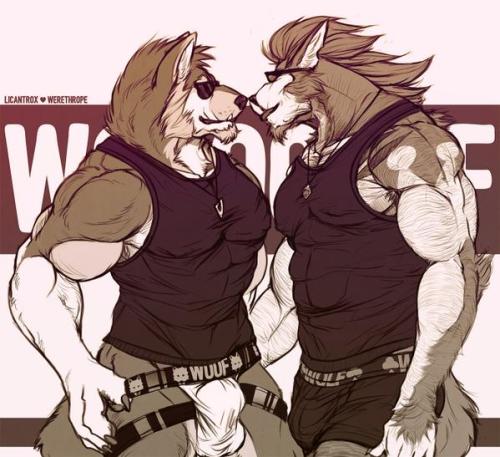 Sex 9kitsune:  Artist:  Werethrope    pictures