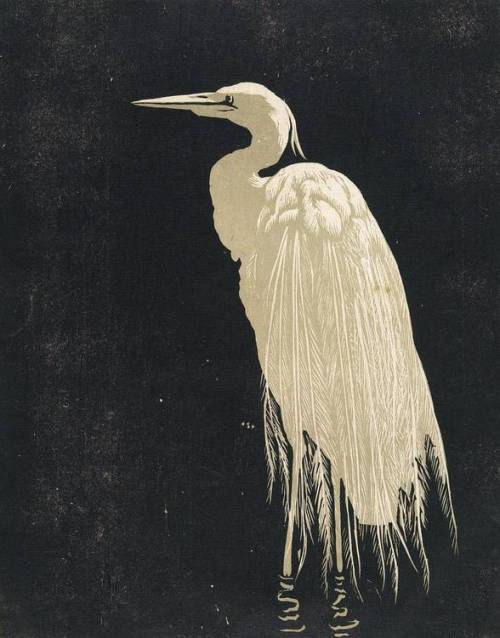 birdsong217:Walther Klemm (1883 -1957)Heron, 1910. Woodcut. 