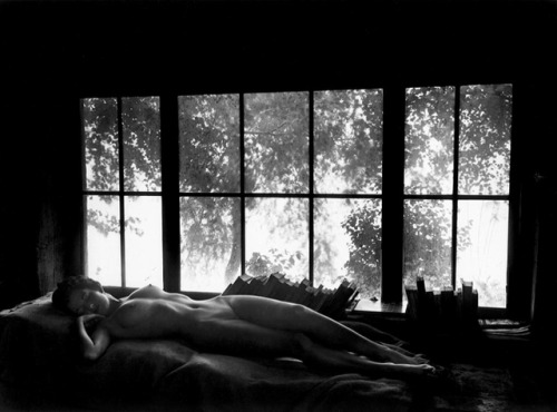 aquatresous:Nude by Sandy’s Window, 1956. Wynn Bullock, 