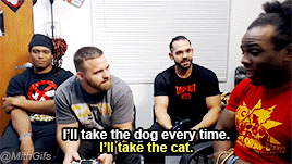 mithen-gifs-wrestling:  During a discussion of whether one would help an injured