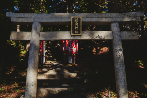 『新年の香り』sony a6400 + SIGMA 16mm F1.4 DC DN | Contemporary2022.01.05location : 静岡県 Shiuoka, Japan神社、事任