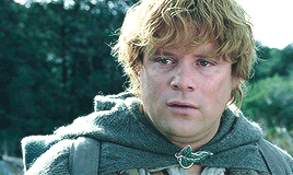 teenievel:Middle-Earth meme:[3/3] heroes - Samwise GamgeeI made a promise, Mr Frodo. A promise. “Don