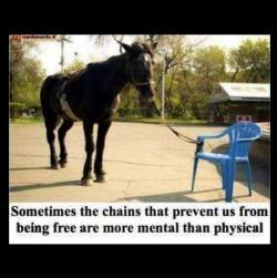 thinkpositive2:  Sometimes the chains that