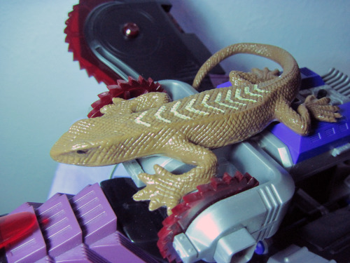 Stretchy lizard hitches a ride on a huge death machine grump.