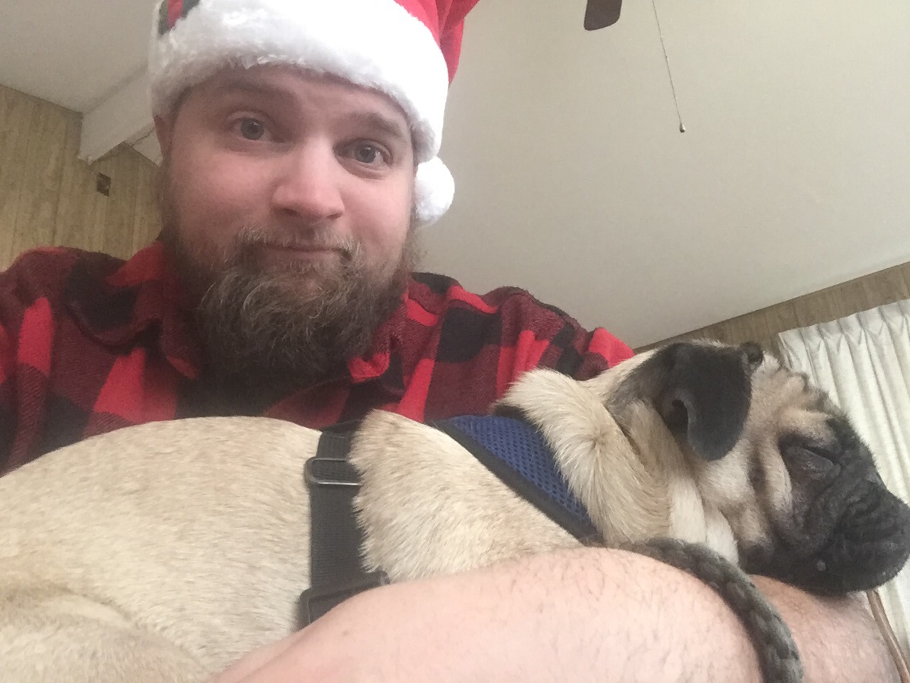 Pug cuddles , hot chocolate , a hot fire, and movies . Not what I&rsquo;d prefer