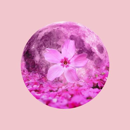 12 Full Moons 2018 - April - Pink MoonWant this as a print? Head to DeviantART.