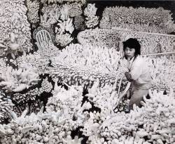 digitalhoarding:    YAYOI KUSAMA    Compulsion