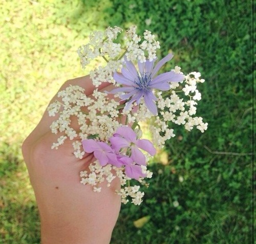 hippii: Spent the day picking wild flowers
