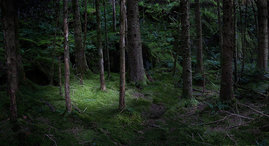 davidesky2:  by Ellie Davies, via Beautiful/Decay.
