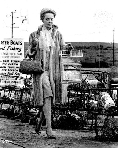 Tippi Hedren - ‘The Birds’ - 1963http://sunsetgun.typepad.com