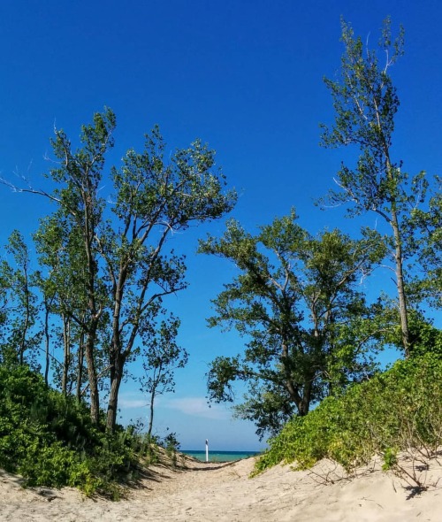 This way to the beach… Nice cool breeze blowing in off the Bay of Quinte… Adventures o